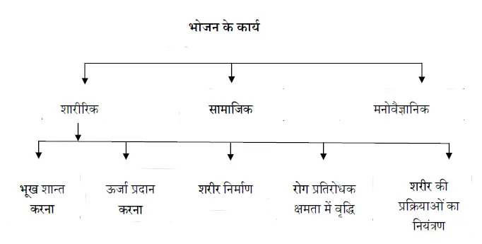 भोजन के कार्य