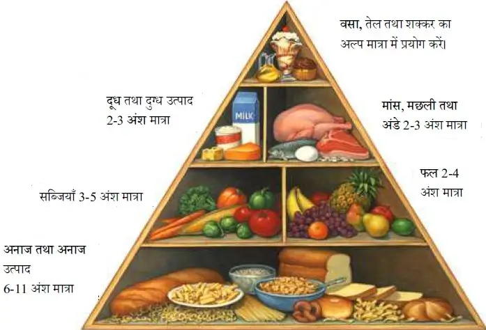 संतुलित आहार का चित्र